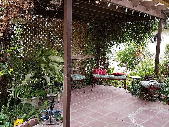 Back yard