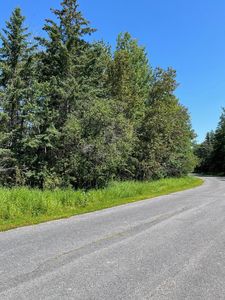 Town Rd #224, International Falls, MN, 56649