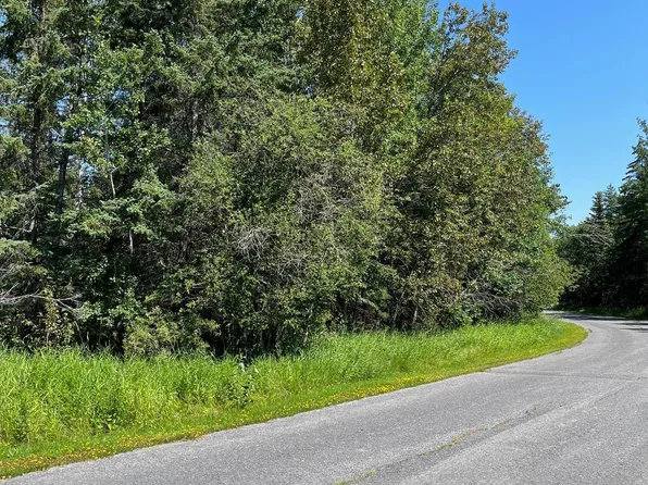 Town Rd #224, International Falls, MN 56649