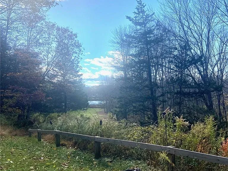 46 Patricia Ln — Photo 7