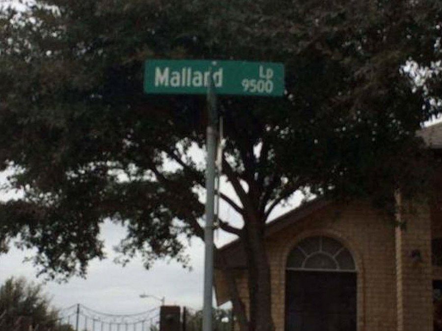 2nd image of 9638 Mallard Loop