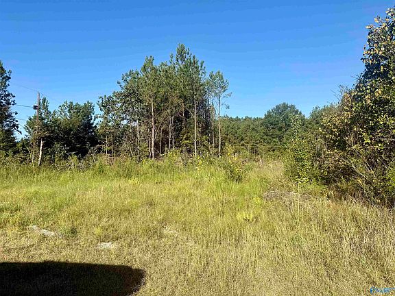 2nd image of 368 Jones Chapel Rd