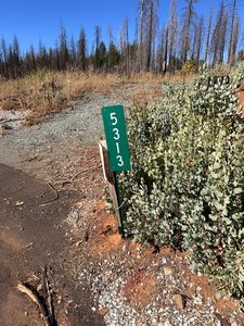 5313 Wooded Glen Rd, Grizzly Flats, CA, 95636
