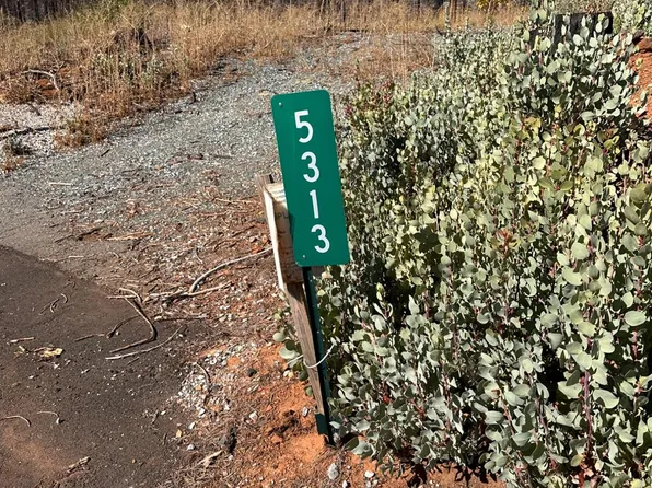 5313 Wooded Glen Rd, Grizzly Flats, CA 95636
