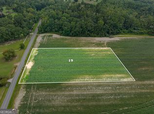 0 Miller Street Ext LOT 19, Statesboro, GA 30458