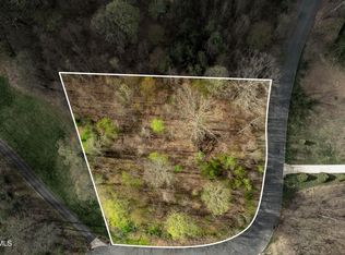 Randal Laura Ln, Bluff City, TN 37618