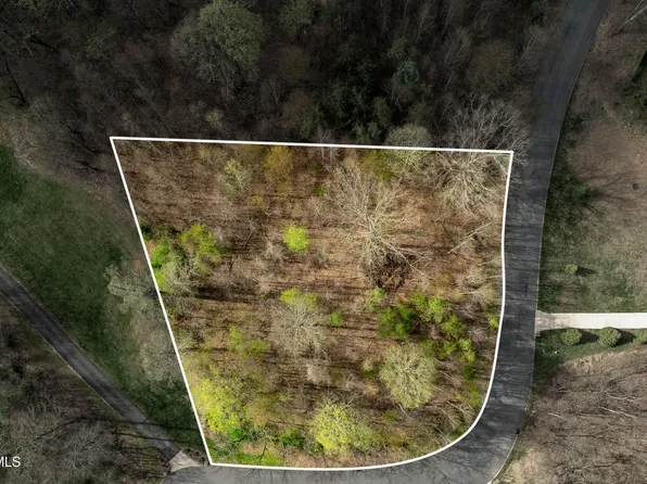 Randal Laura Ln, Bluff City, TN 37618