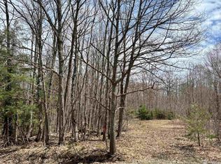 391 Carlshend Rd, Skandia, MI 49885