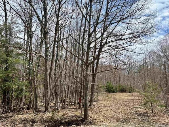 391 Carlshend Rd, Skandia, MI 49885