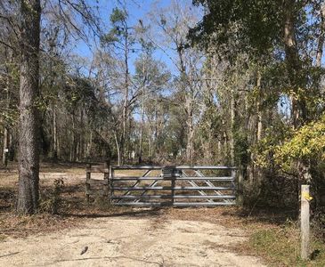 7761 168th St, Wellborn, FL, 32094