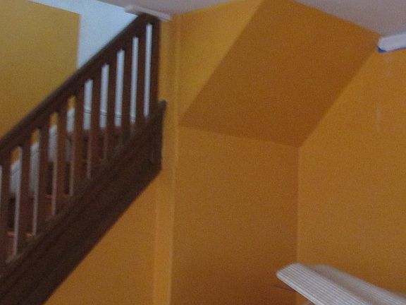 4th image of 264 Fitzpatrick St