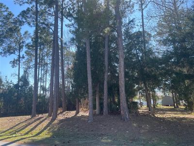 60 BIRCHWOOD DRIVE LOT 10, Palm Coast, FL, 32137