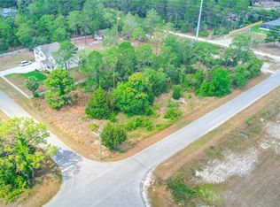 Gyrafalcon Avenue Lot #2001, Brooksville, FL 34613