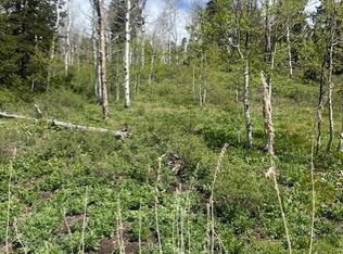 1798 W Alexander Canyon Rd, Coalville, UT 84017