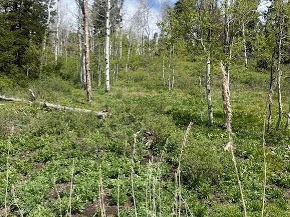 1798 W Alexander Canyon Rd, Coalville, UT 84017