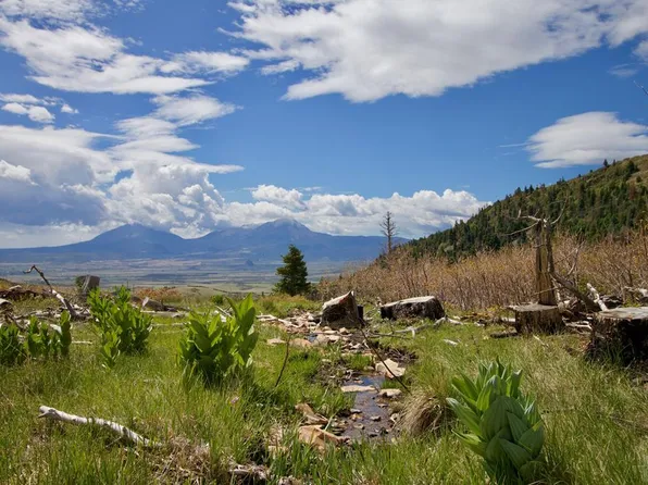 Tres Valles West 36, La Veta, CO 81055