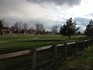View of golf course