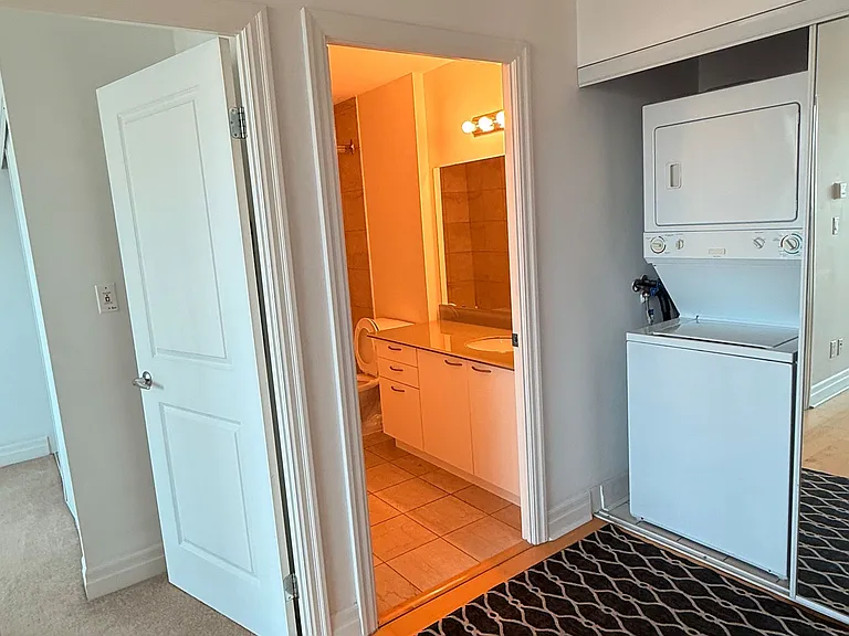 88 Palace Pier Ct #Penthouse 208 — Photo 11