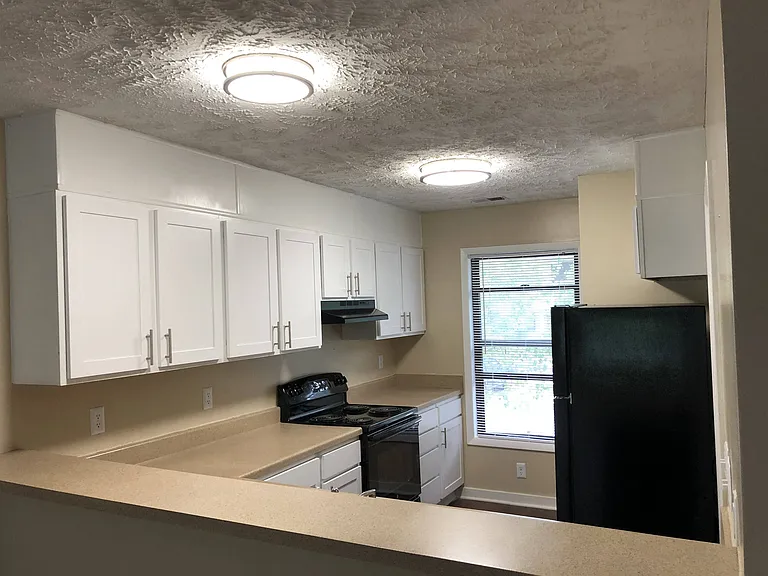 Renovated Apartment Kitchen
