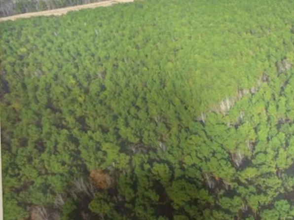 Default St, Belhaven, NC 27810