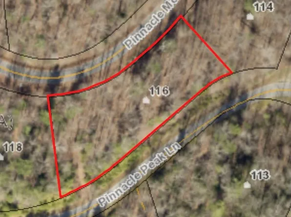 116 Pinnacle Peak Ln, Flat Rock, NC 28731