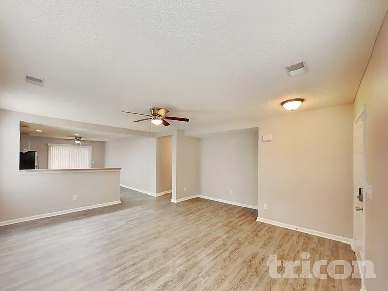 217 Wild Olive Dr — Photo 3
