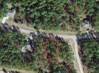 SW 138 Street Rd LOT 19, Ocala, FL 34473