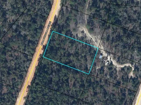 0 Apalachicola Ave, Alford, FL 32420