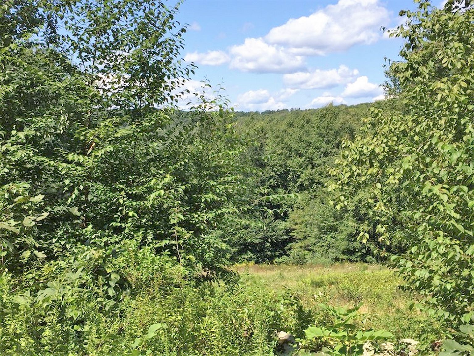 LOT Davenport Rd, Roxbury, CT 06783 Zillow