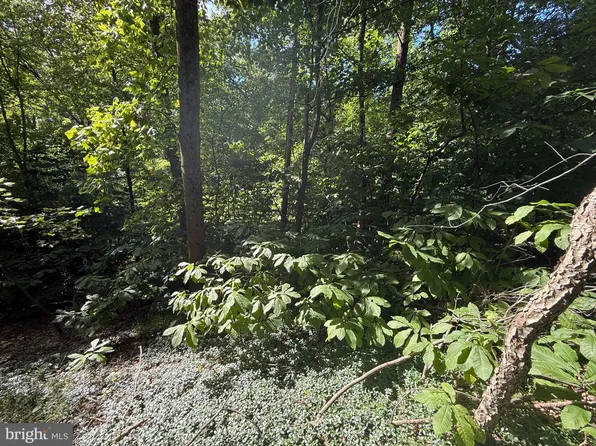 98 Great Oak Ln, Harrisburg, PA 17110