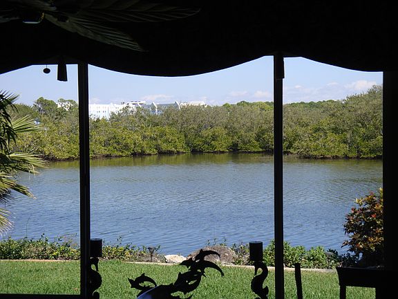 view from dining room