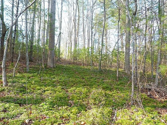 4th image of 206 Shadybrook Trl #235