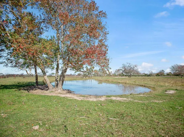 County Road 429, Lolita, TX 77971