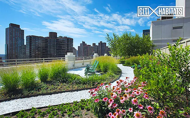 Rented by Citi Habitats | media 41