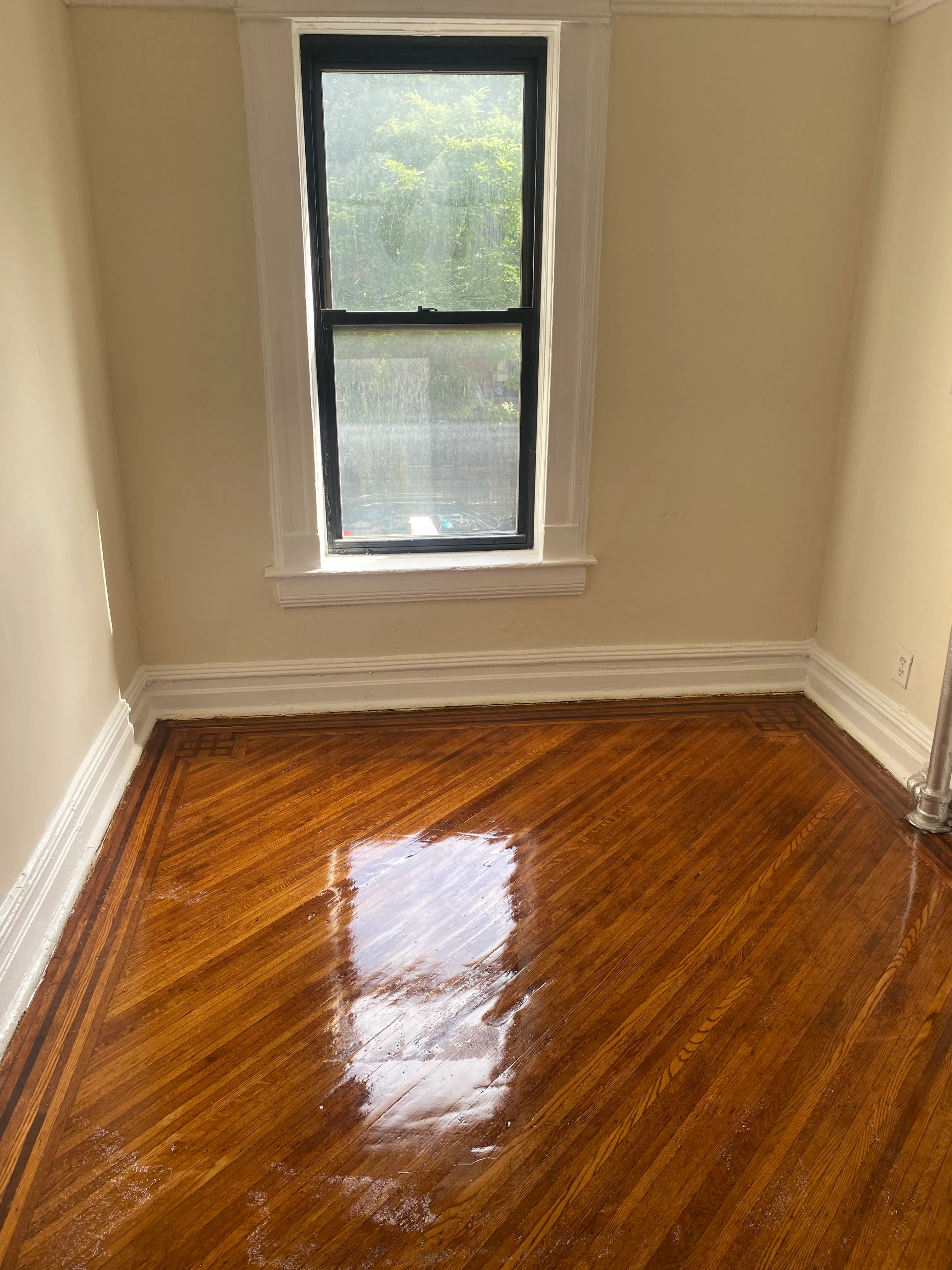 729 Washington Avenue #2B in Crown Heights, Brooklyn | StreetEasy