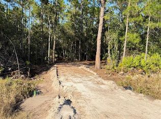 E Colonial Dr LOT 460, Christmas, FL 32709