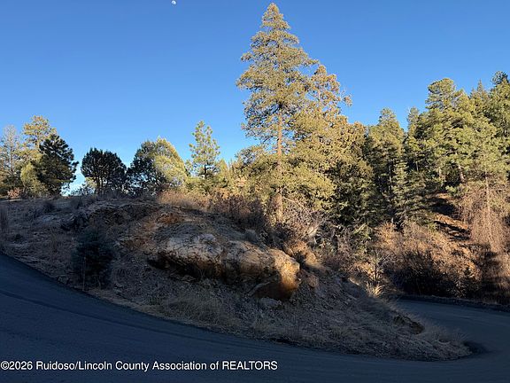 2nd image of L13 L Windsor & Nottingham #14