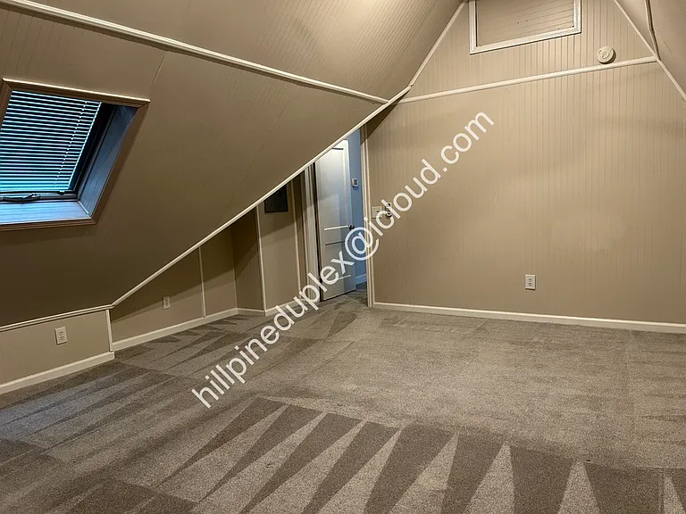 Huge primary bedroom with vaulted ceiling and skylight.