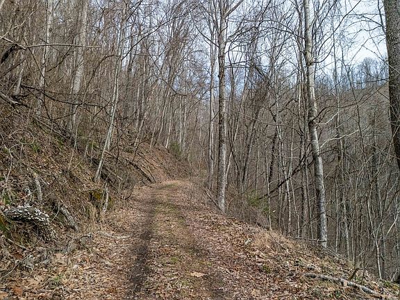 4th image of LOT 34 Catnip Rd