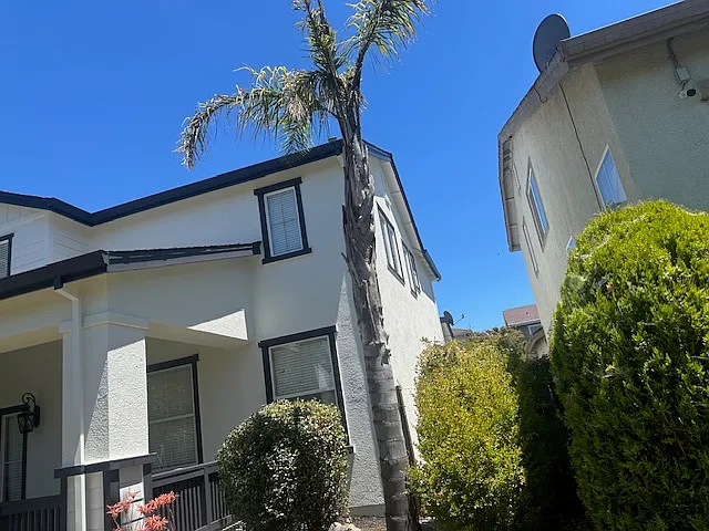 Arbor Grove Ln — Photo 4