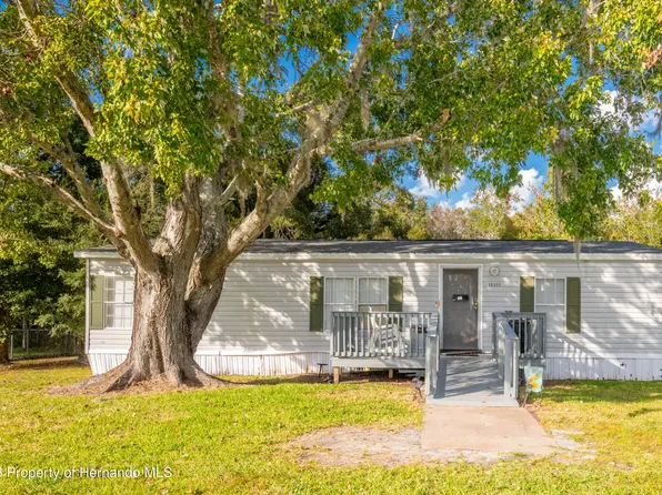 26553 Brahma Dr, Zephyrhills, FL 33544