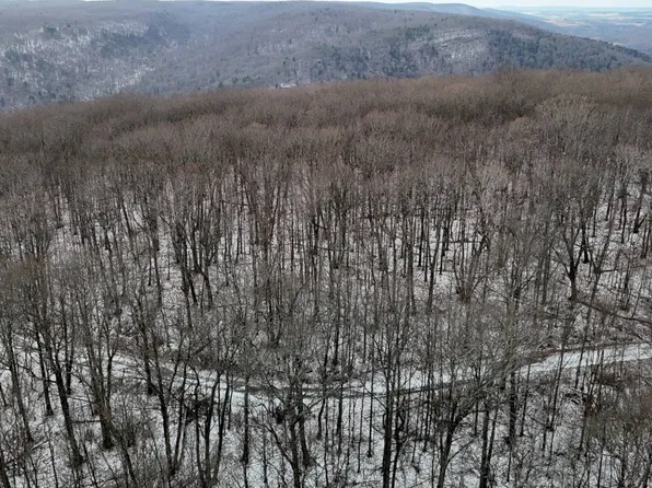 0 Mountain Top Ln, Covington, PA 16917