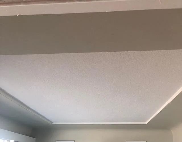 Living room ceiling