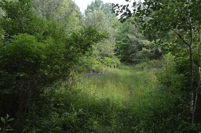 2nd image of 00 UPPER MANNIX Road