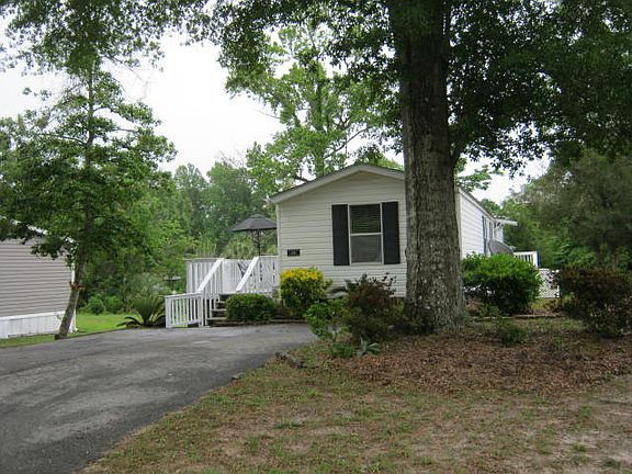 Large tree in front yard