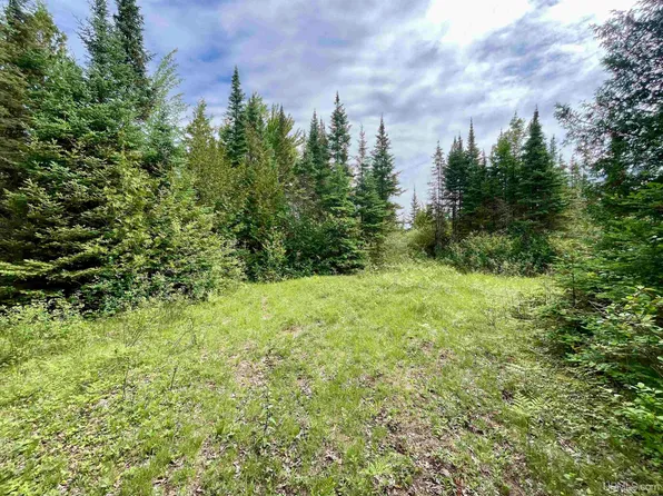9th Ln, Bark River, MI 49807