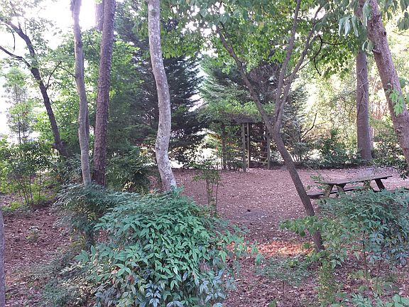 2nd image of 145 Tanglewood Dr