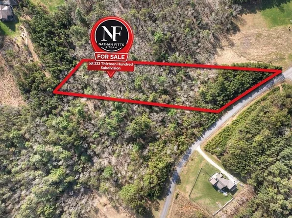 233 Ridge Pointe Way, Blairsville, GA 30512