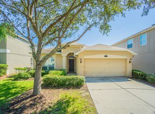 10942 Ancient Futures Dr, Tampa, FL 33647