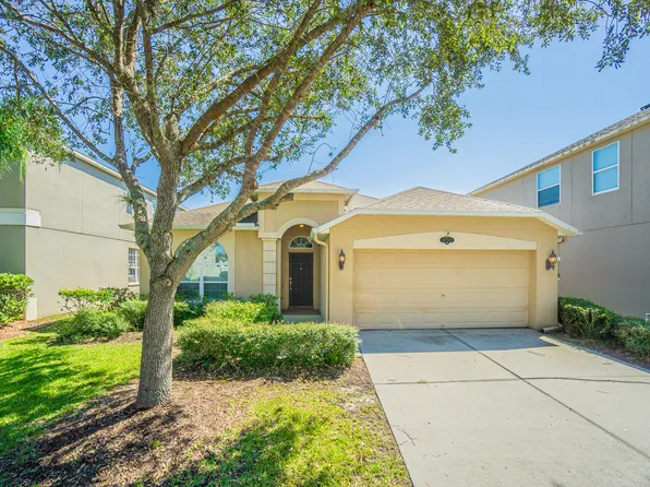 10942 Ancient Futures Dr, Tampa, FL 33647